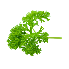 Kalustyan Parsley Curly 10-30